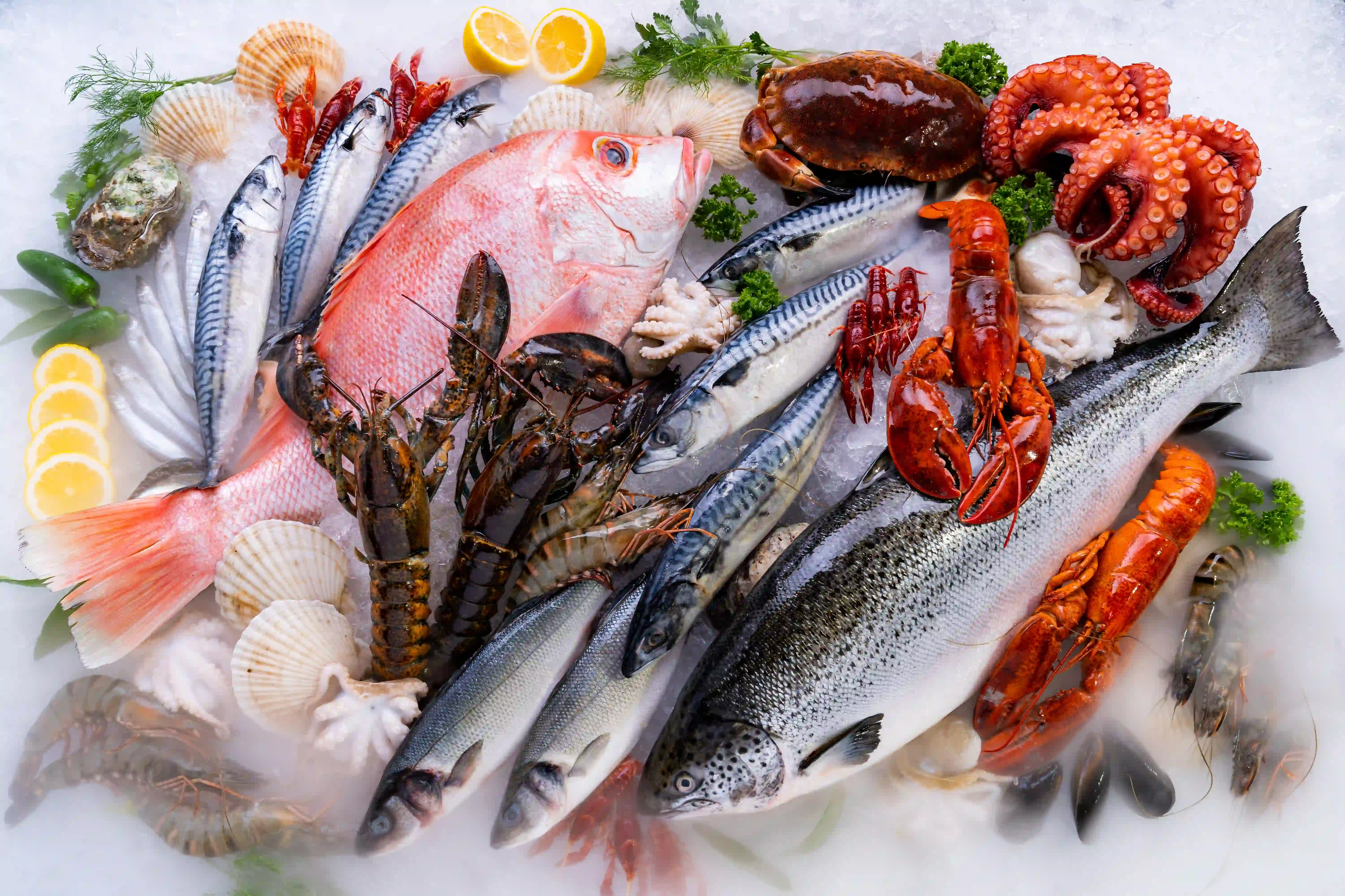 Fish & Seafood