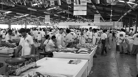 A legacy from the ocean