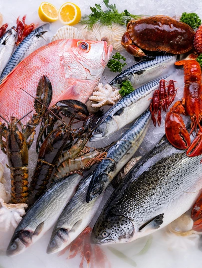 Fish & Seafood
